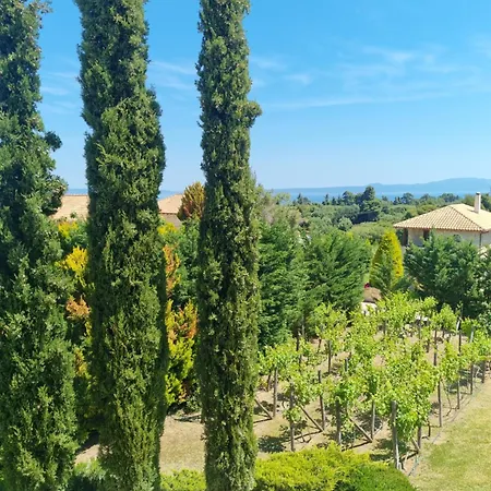 Fruit Garden Villa