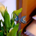 Βίλα Fruit Garden Villas Κρυοπηγή