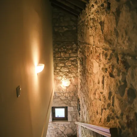 فيلة Fruit Garden كريوبيجي