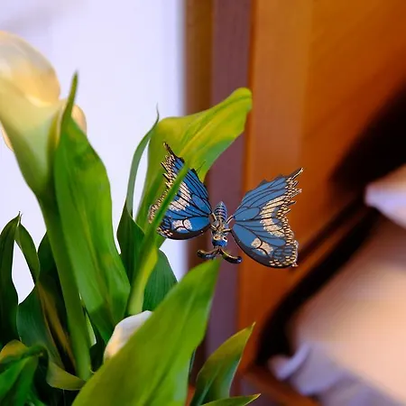 Villa Fruit Garden Kriopigi