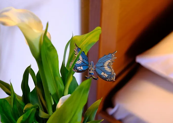 Βίλα Fruit Garden Villas Κρυοπηγή